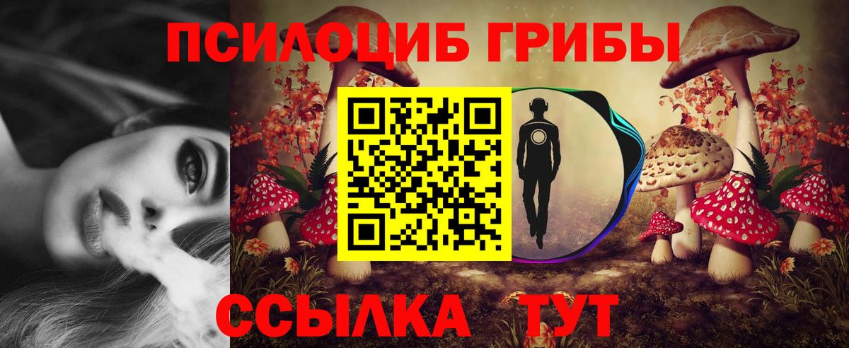 Биробиджан  Псилоцибиновые грибы Psilocybine cubensis  Вход с VPN 